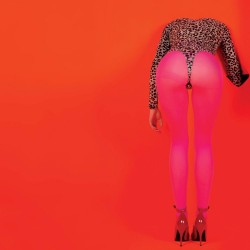 st.vincent masseduction