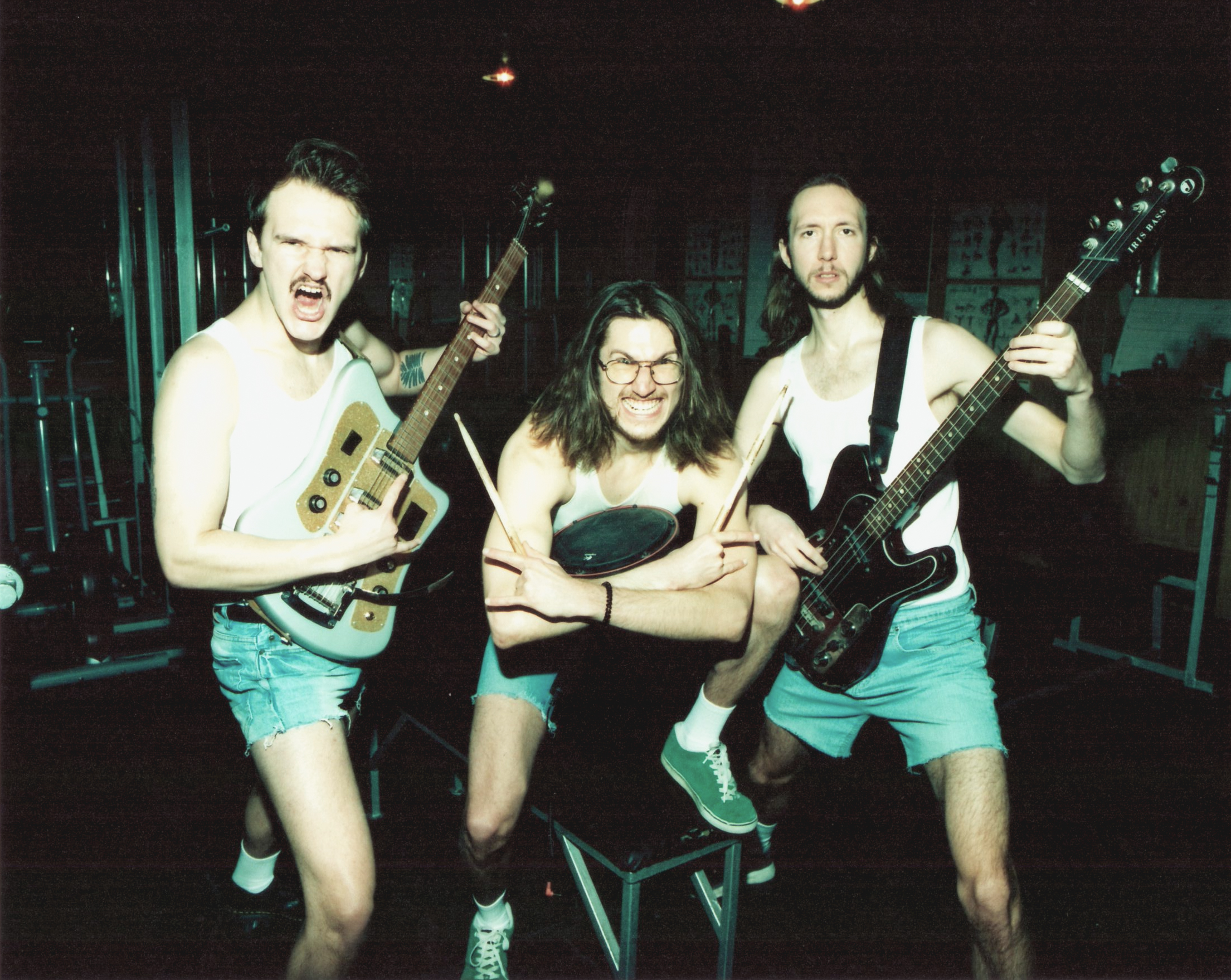 Klausykla Nr.102 (albumų apžvalga)