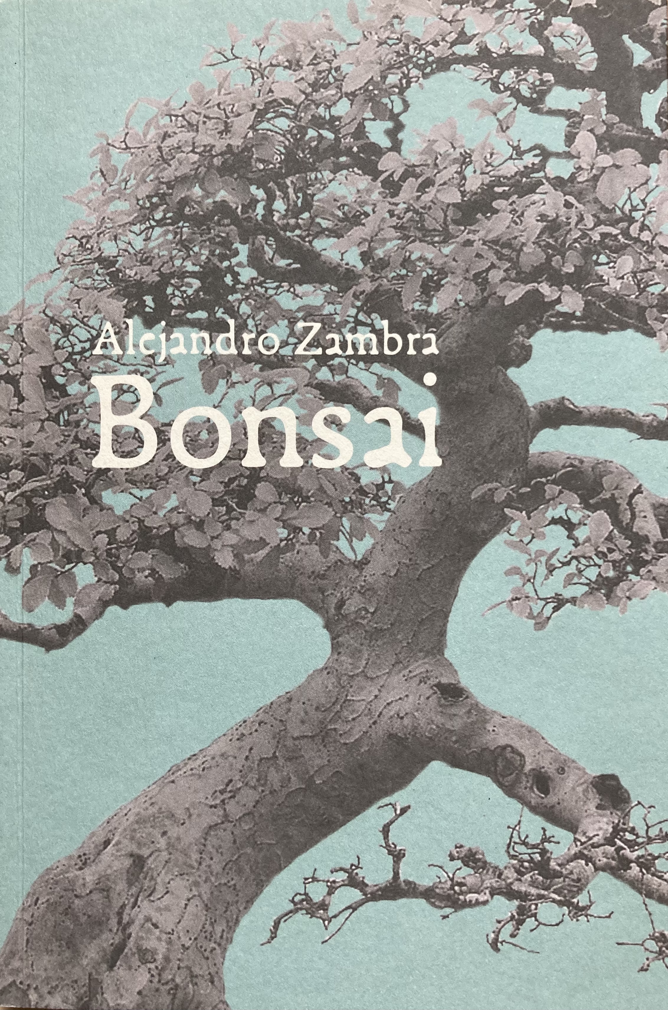 Skaitykla Nr.106 (knygų apžvalga)