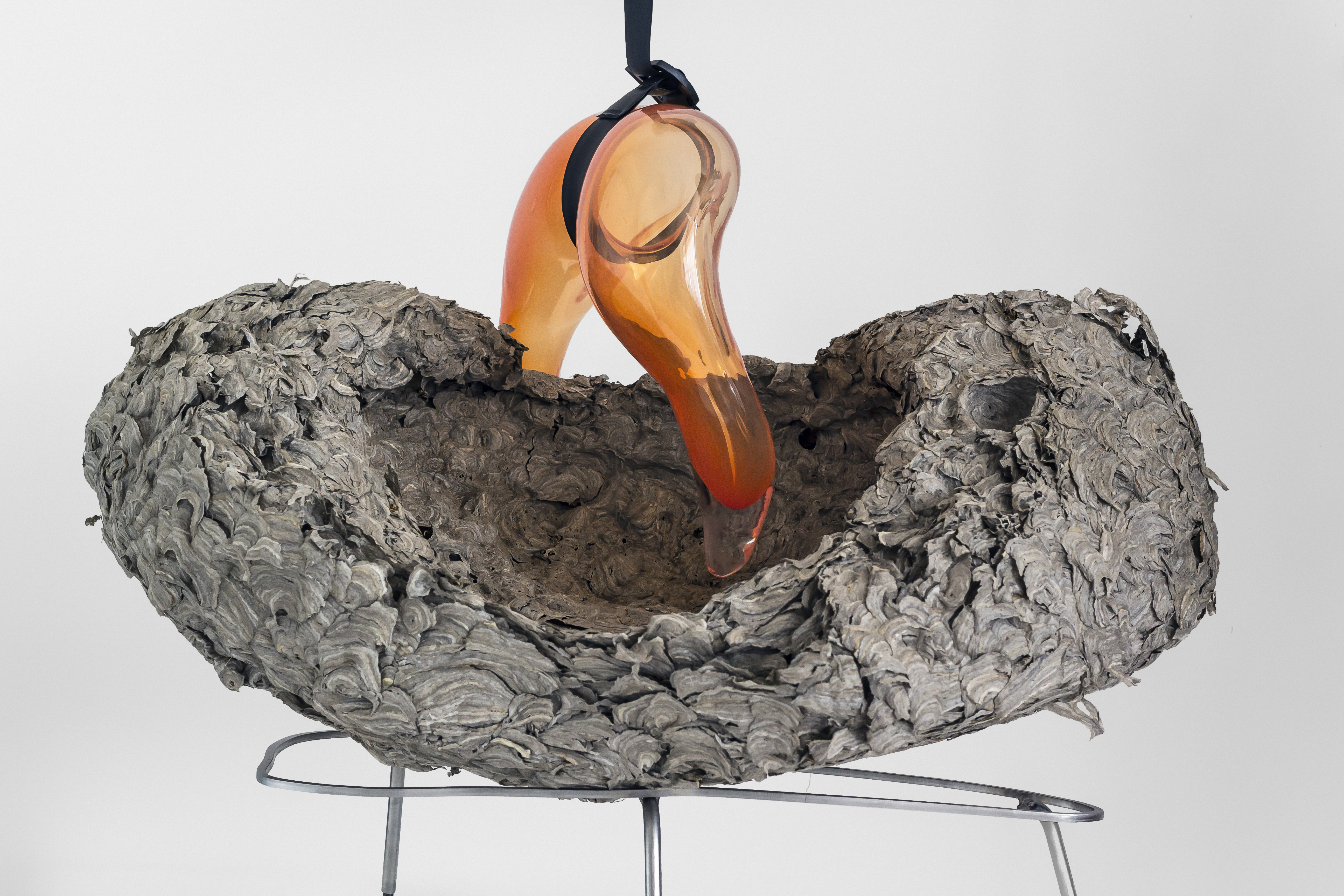 Žvilgsnis iš arčiau: pažintis su Kauno bienalės menininkais 