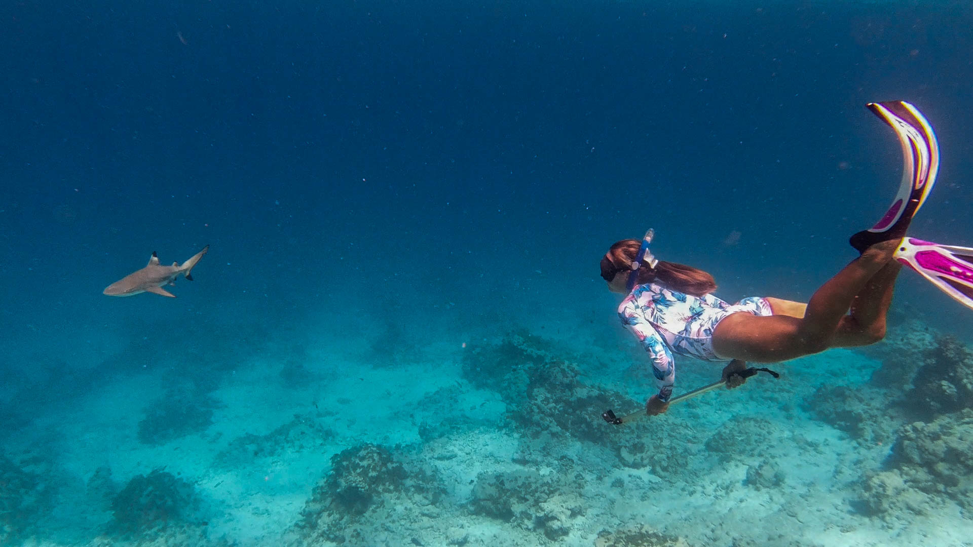 DJI_0969 Simona & Blacktip Favorit.00_00_23_29.Still002