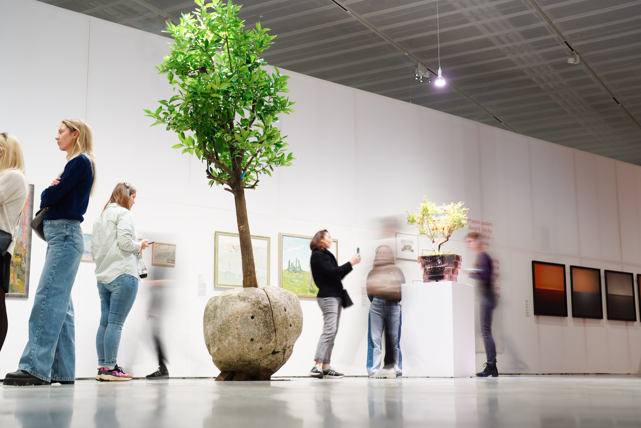 2024-10-12 12-53-39 author Rytis Seskaitis