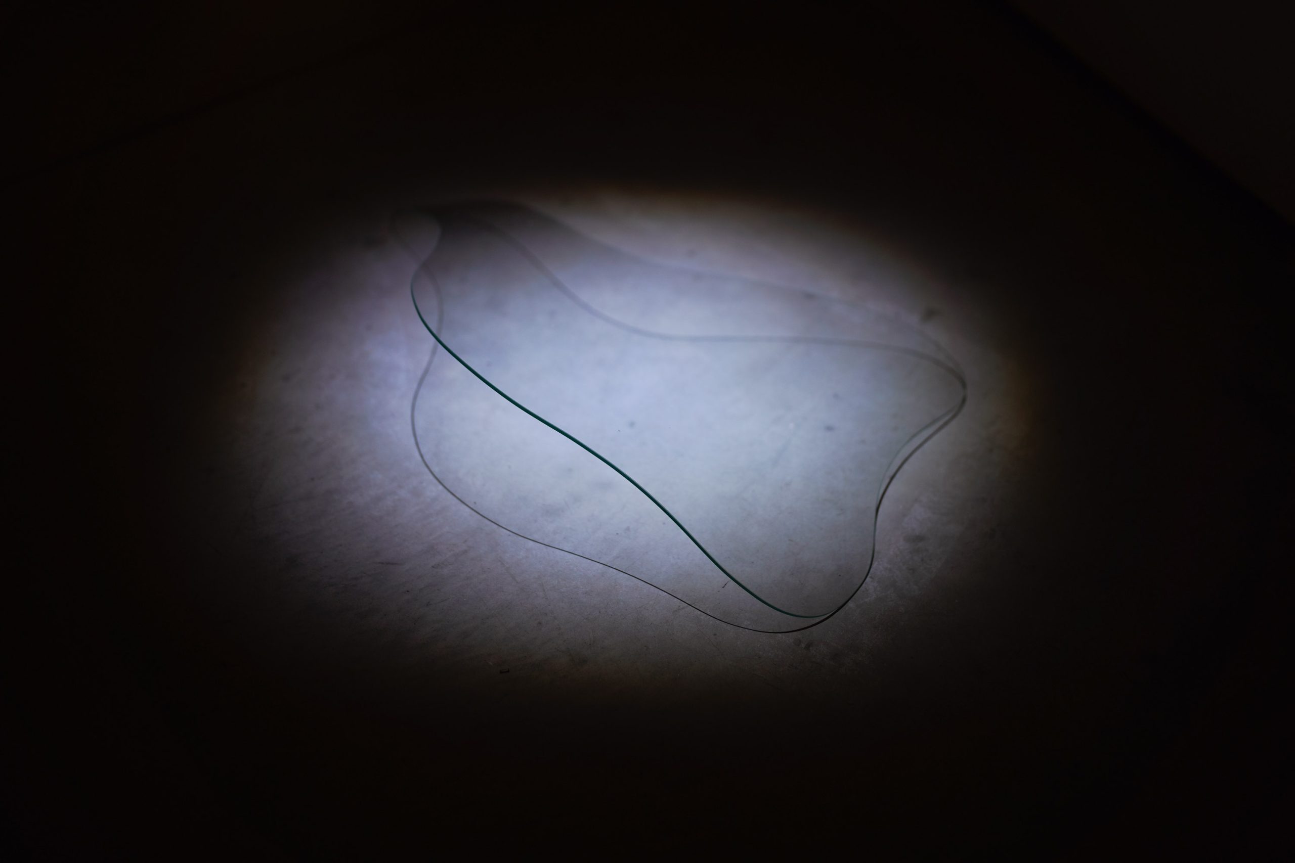 2024-10-12 12-55-25 author Rytis Seskaitis