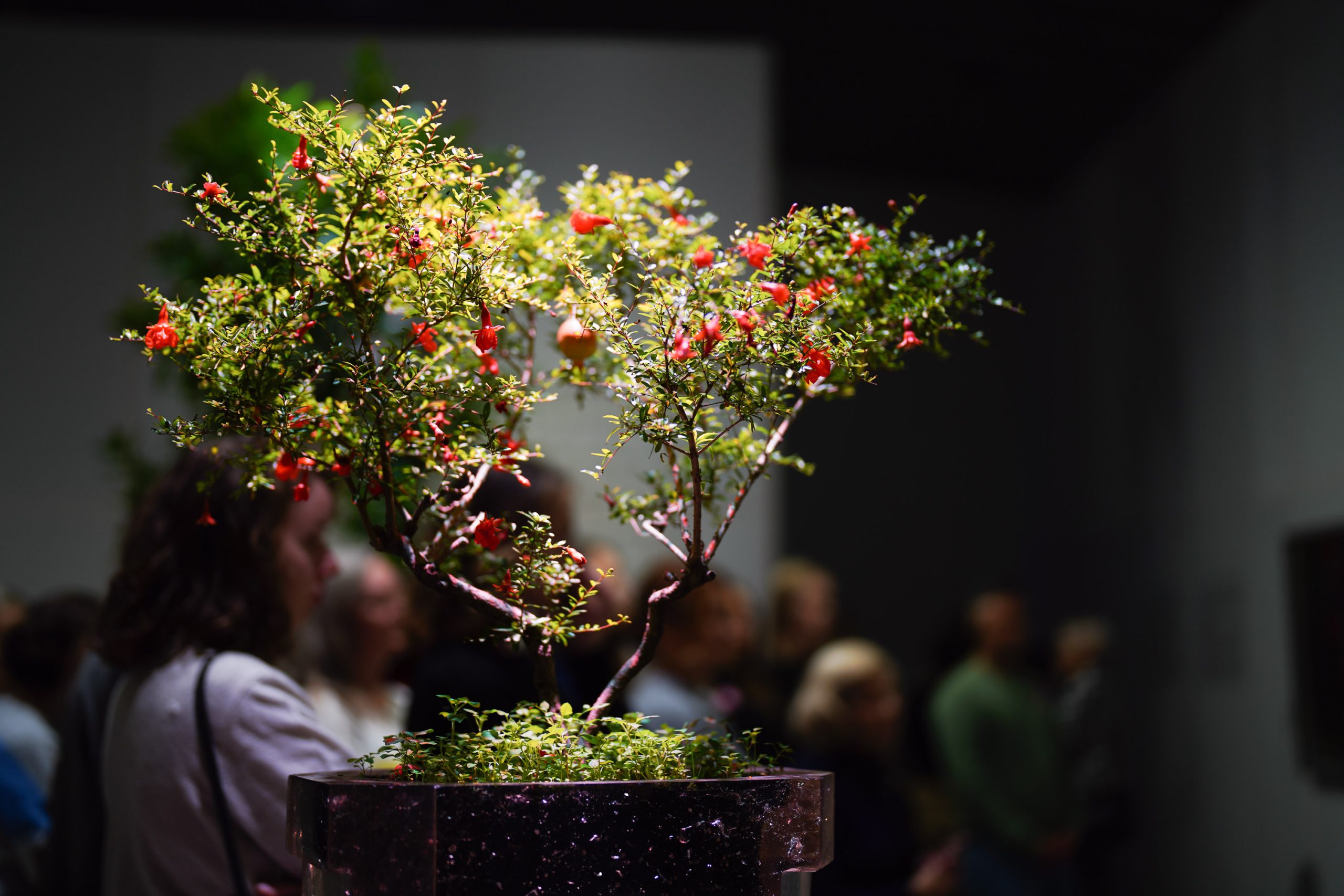 2024-10-12 12-57-16 author Rytis Seskaitis