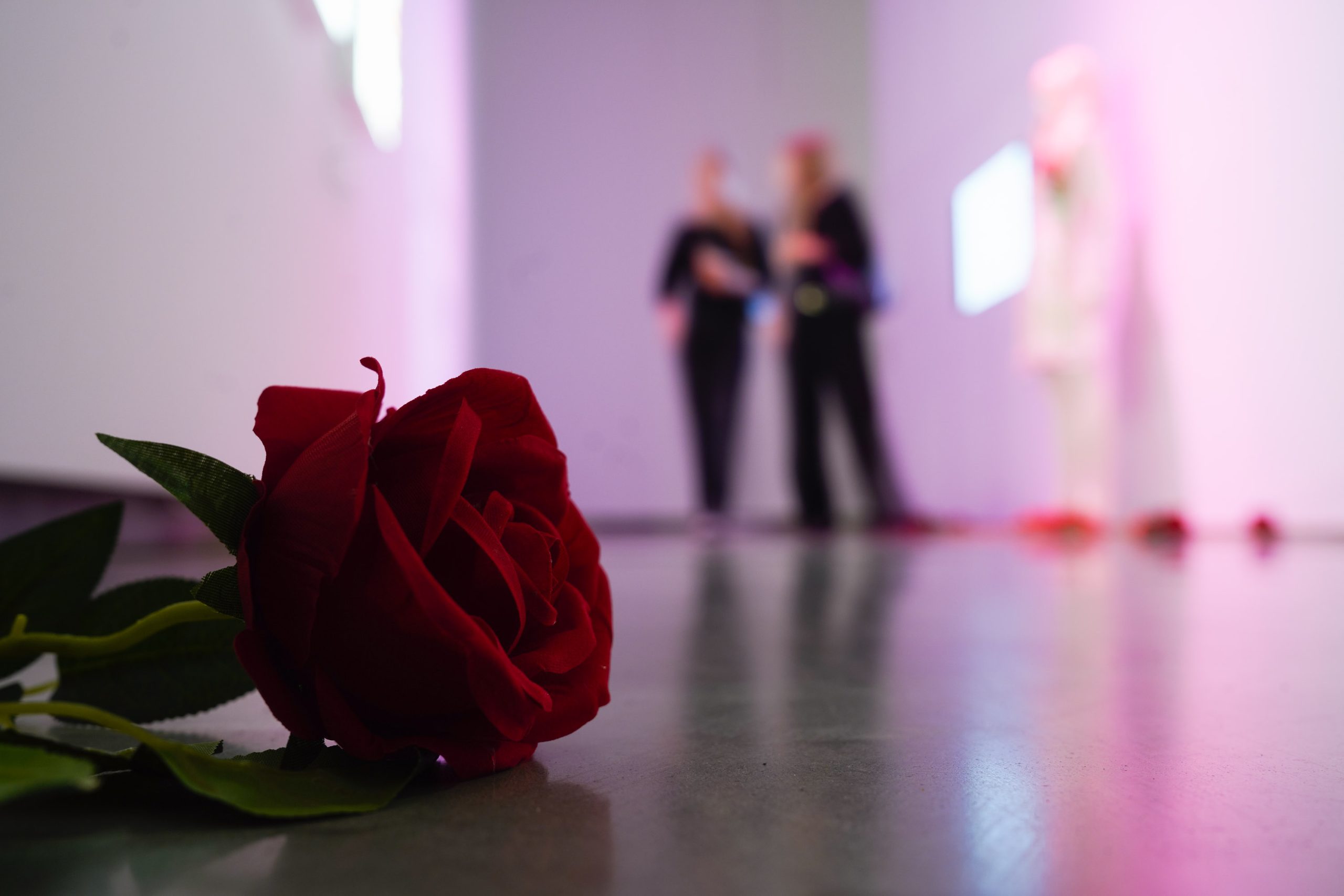 2024-10-12 15-47-21 author Rytis Seskaitis