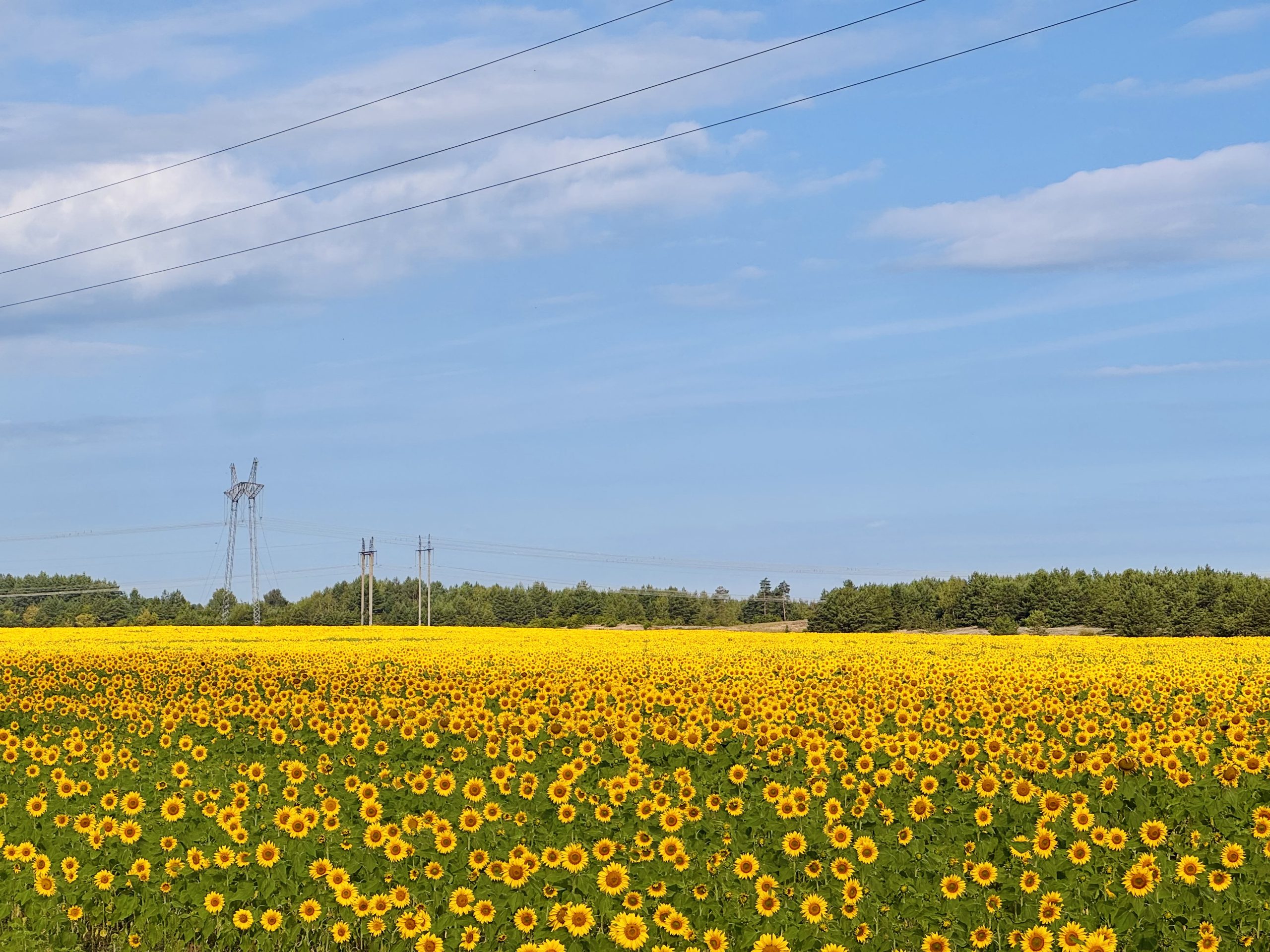 Laiškas iš Ukrainos (Nr.9)