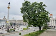 Laiškas iš Ukrainos: žydėjimo metas